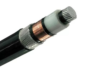 6/10kV 8.7/15kV 12/20kV 18/30kV AL/XLPE/SWA/PVC Single Core Power Cable(NA2XSRY Cable)