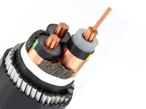 6/10kV 8.7/15kV 12/20kV 18/30kV CU/XLPE/CTS/SWA/PVC Three Core Power Cable(N2XSERY Cable)